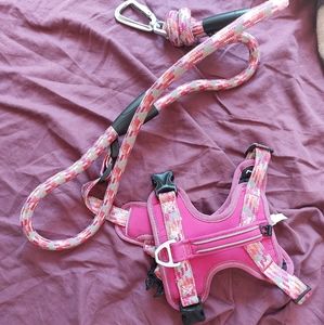 Arcadia Trail Harness and Lesh